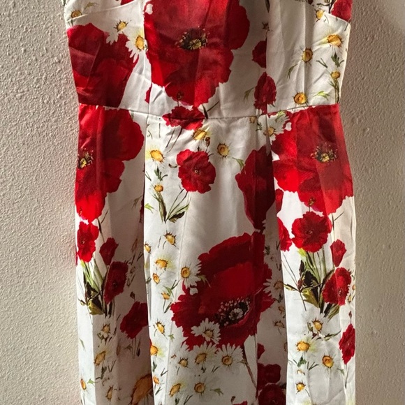 STYLEWE Asymmetrical Floral Dress - Red and White - Picture 5 of 6